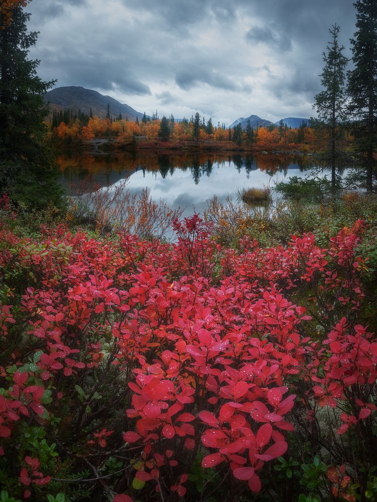 Photograph by Марголин Алексей