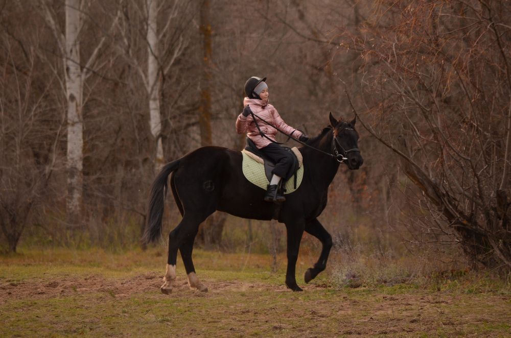 Восточный ветер