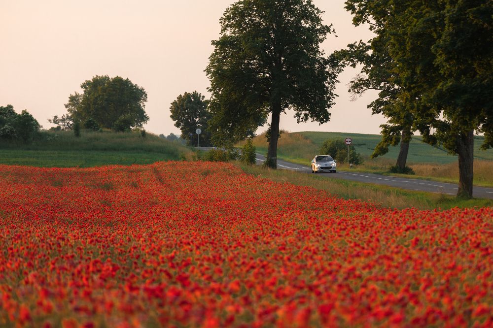 Photograph by Наталья Брюхненко