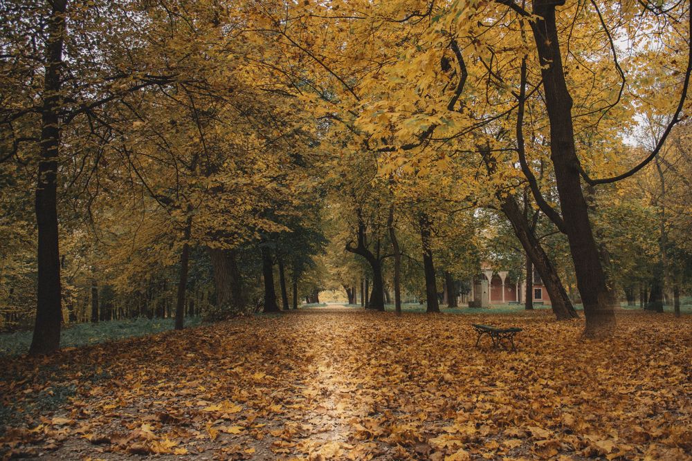 Фотография автора Justyna Jeżak