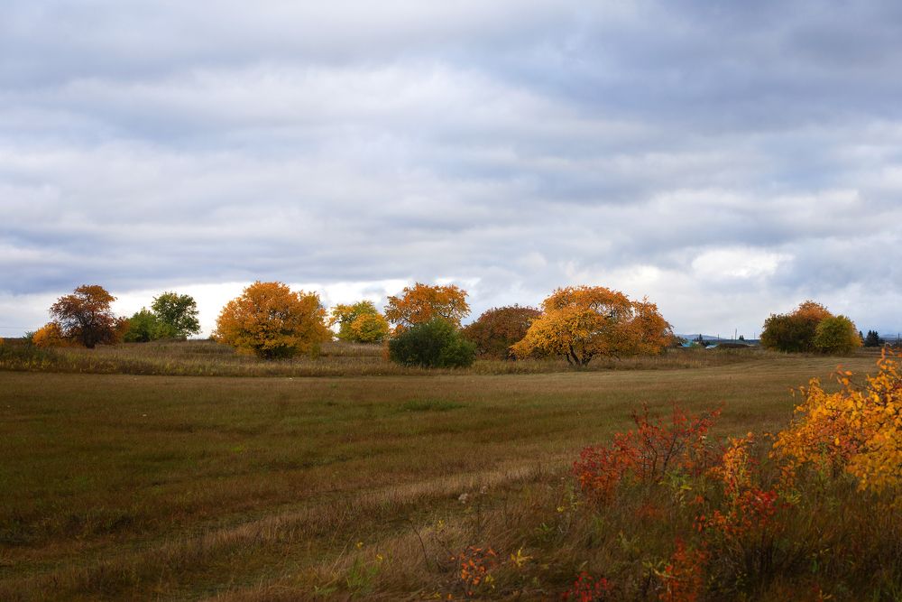 Фотография автора Александр Степочкин