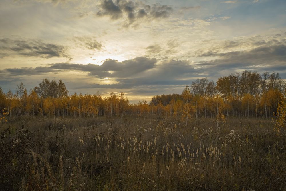 Photograph by Ольга Рачилова