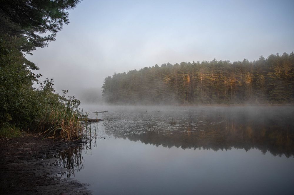 Photograph by Elena Hasnas