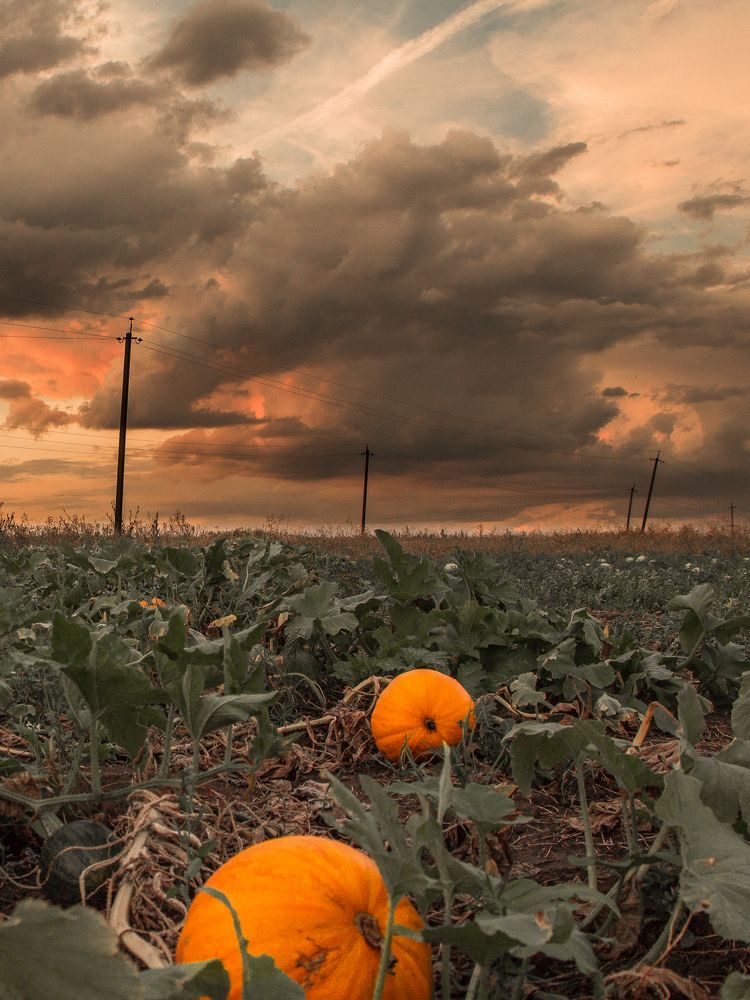 Photograph by Михаил Коган