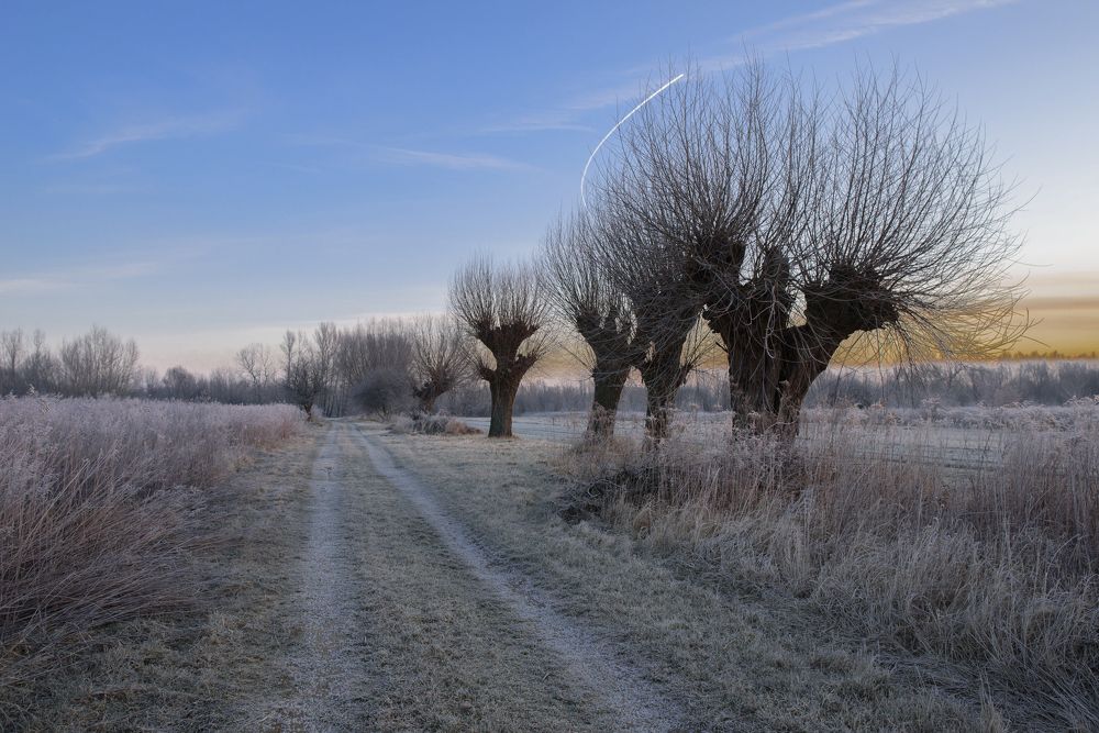 Фотография автора Justyna Jeżak