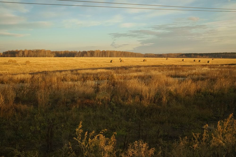 Photograph by Ольга Рачилова