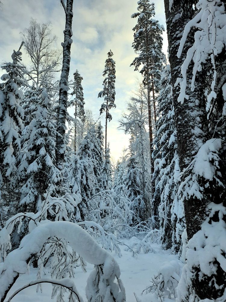 Photo #8349455