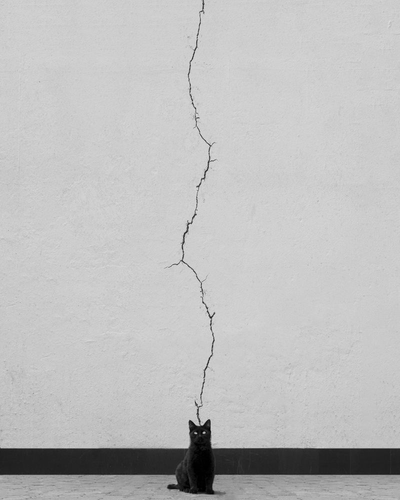 Photograph by Ali Zolghadri