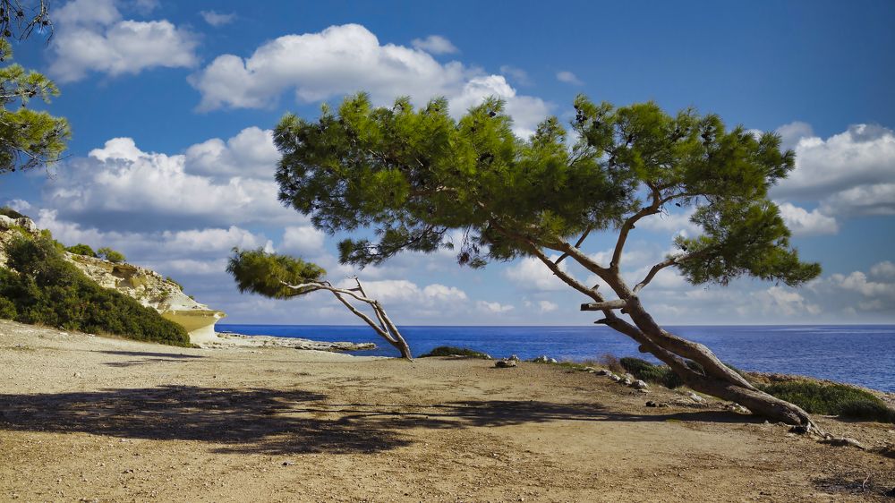 Ancored. Рвущиеся в небо.