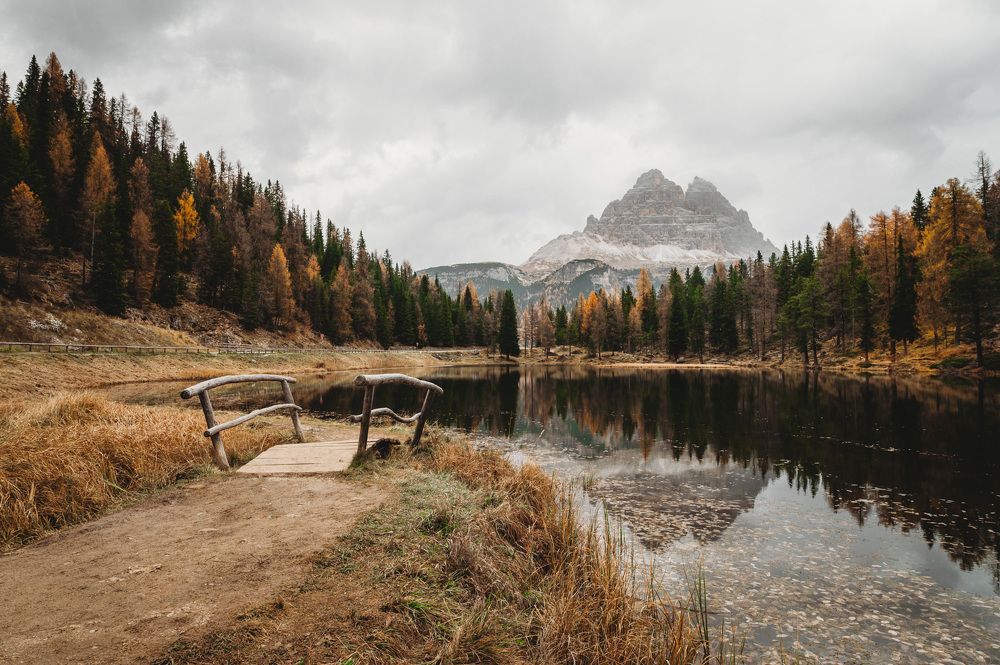 Photograph by Dejan Anđelić