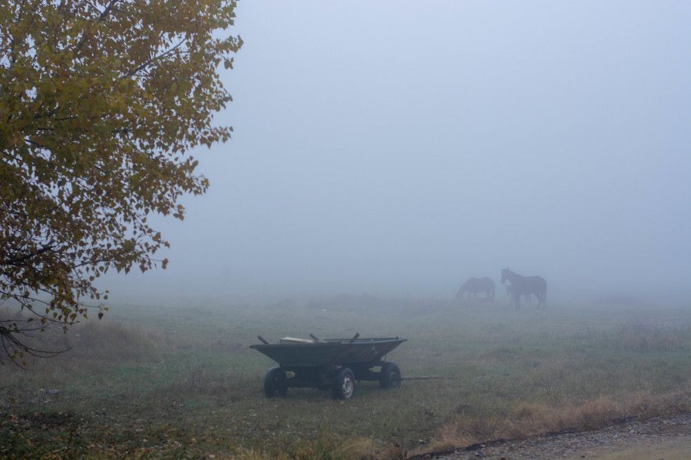 Photograph by Елена Плотникова