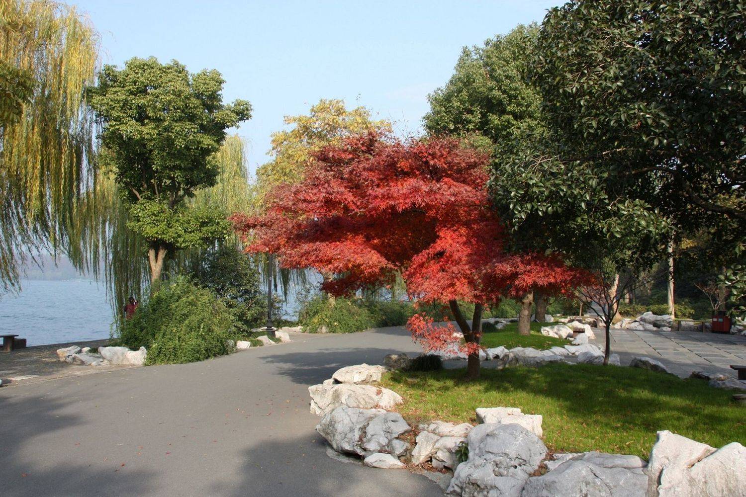 Photo #8349569