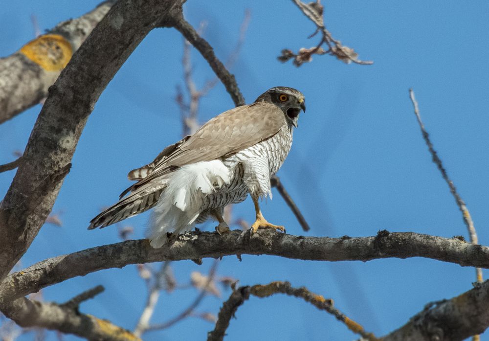 Photograph by Светлана Холодняк