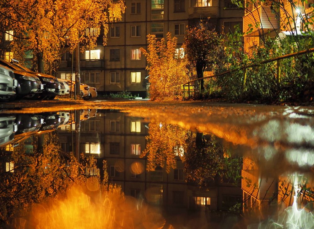 Photograph by Надежда Васильева