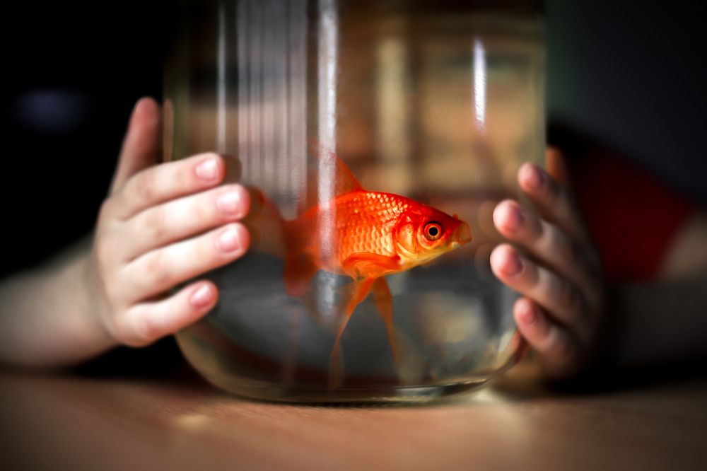 Photograph by Екатерина Нефедова