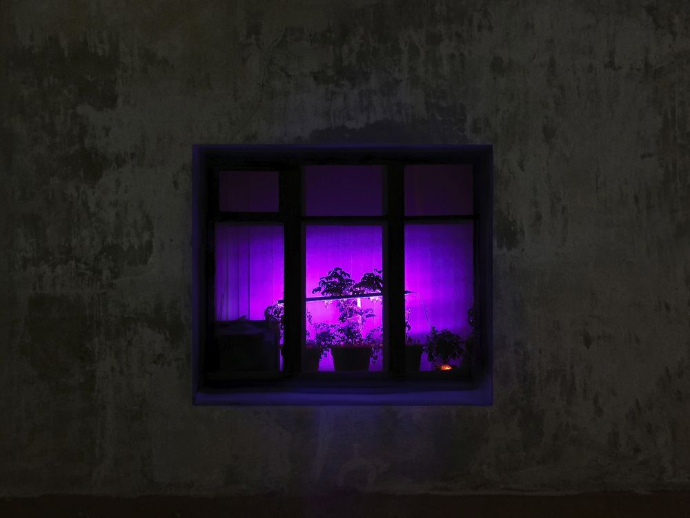 Photograph by Ева Мельникова