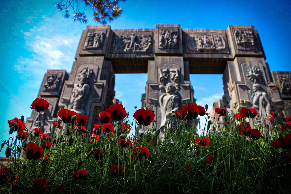 Фотография автора Mariam Martiashvili