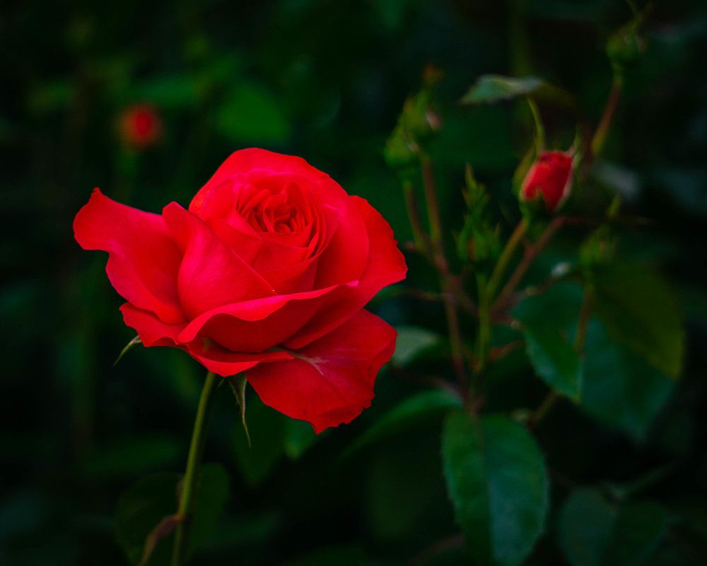 Photograph by Юрий Можейко