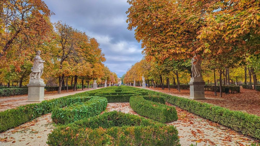 Photograph by Уточкина Виктория