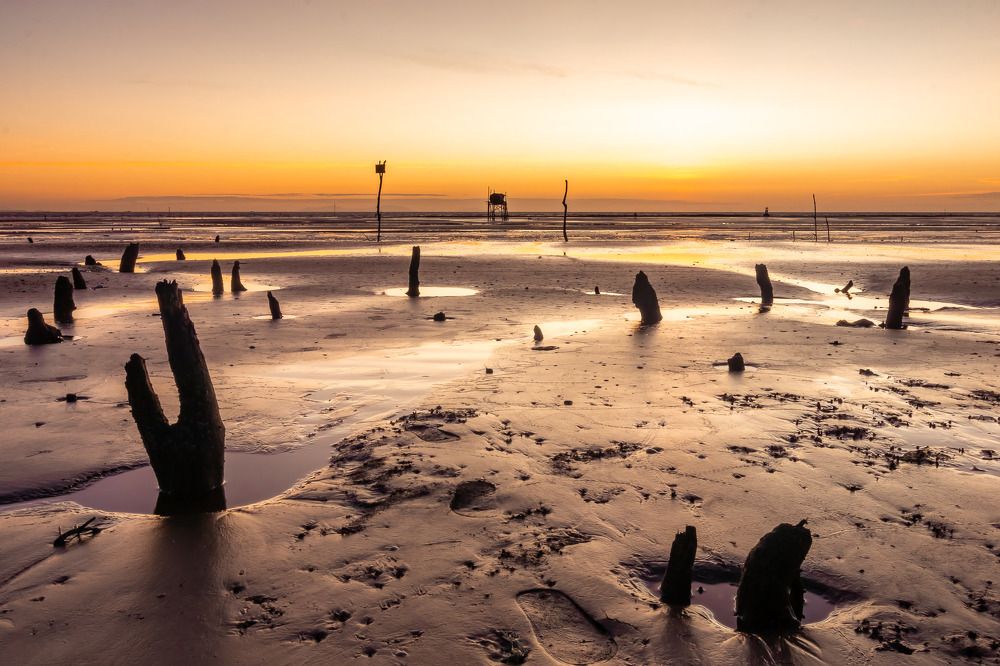 Фотография автора Andy Nguyen