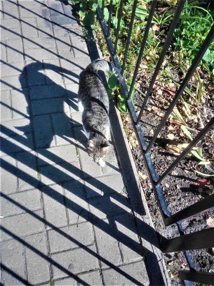 Photograph by Наталья Галай