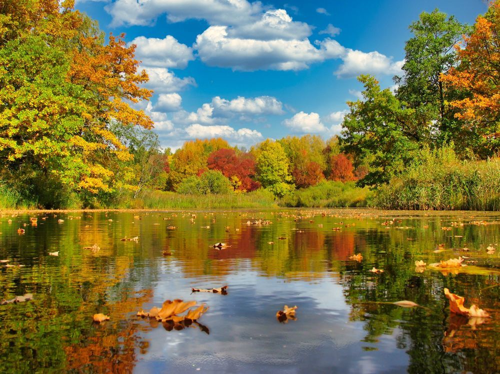 Photograph by Евгений Рощин