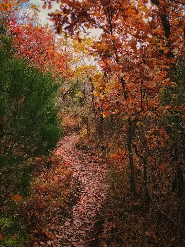 Photograph by Михаил Саидов