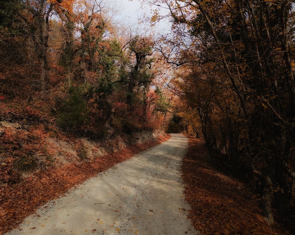 Photograph by Михаил Саидов