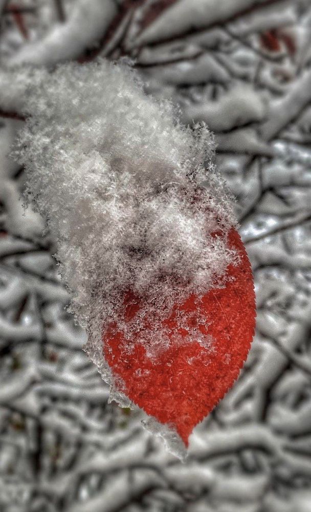 Photograph by Евгения Привалова