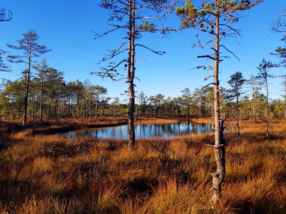 Photograph by Сергей Новиков