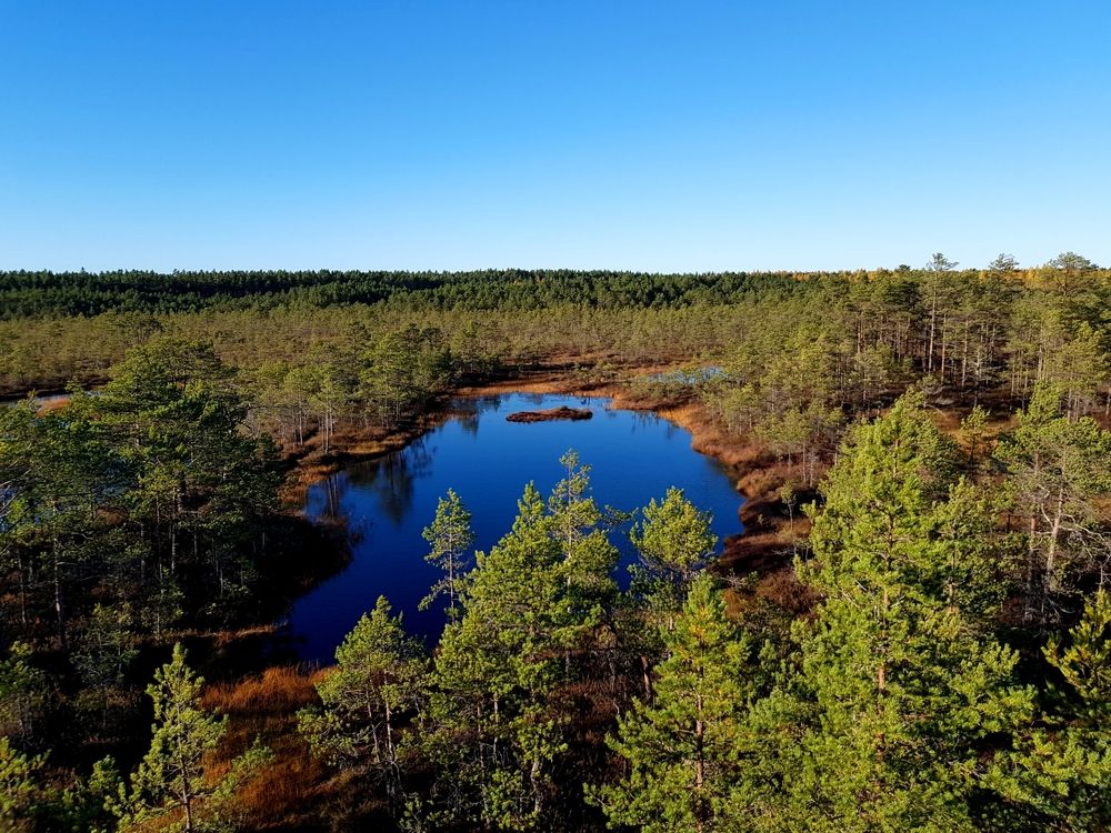 Photograph by Сергей Новиков