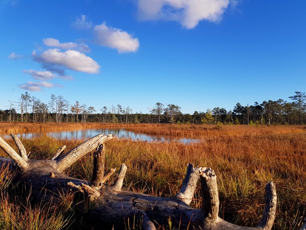 Photograph by Сергей Новиков