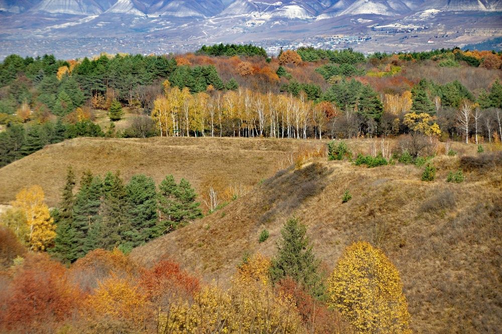 Photograph by Марина