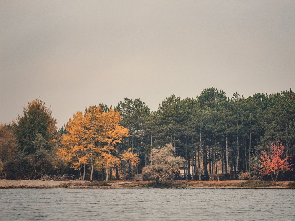 Photograph by Евгения Голубова