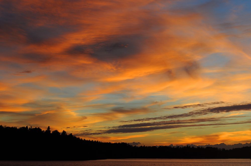 Фотография автора Наталья Белова