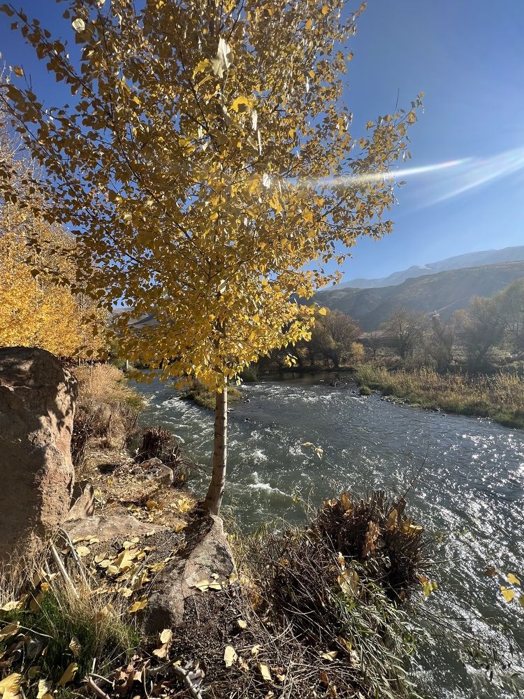 Photograph by Оксана Лабузова