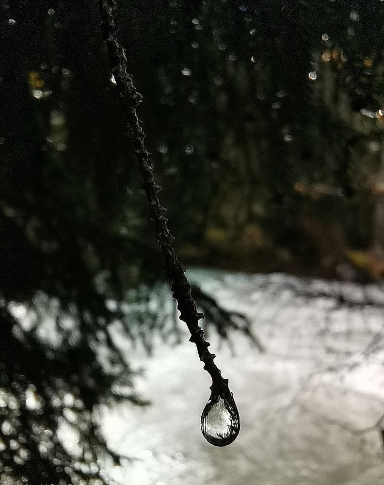 Мир в капле дождя