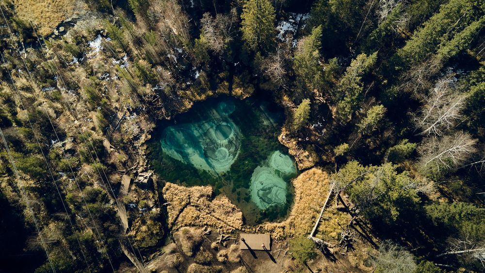 Photograph by Ирина Корнева