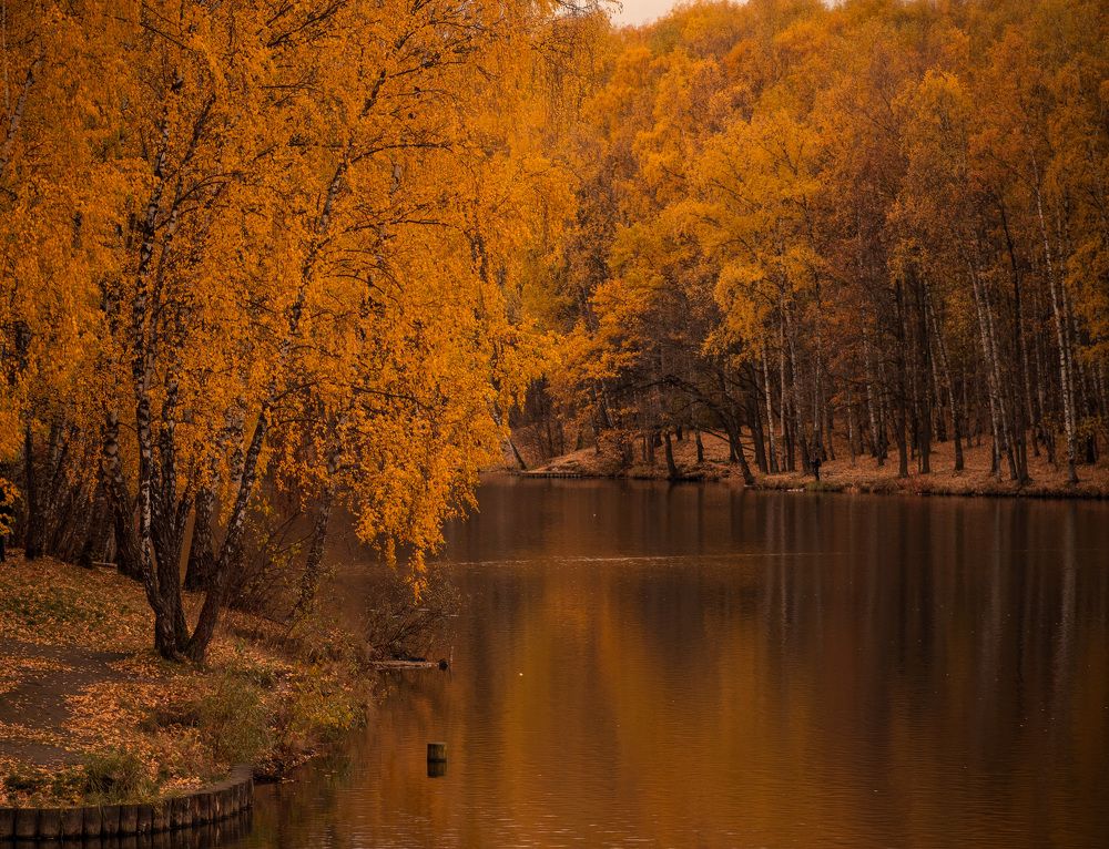 Photograph by Давыдова Алла