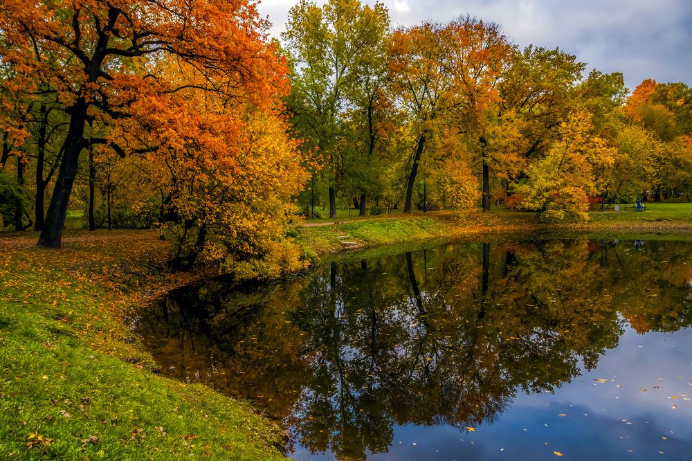 Photograph by Шутов Владимир