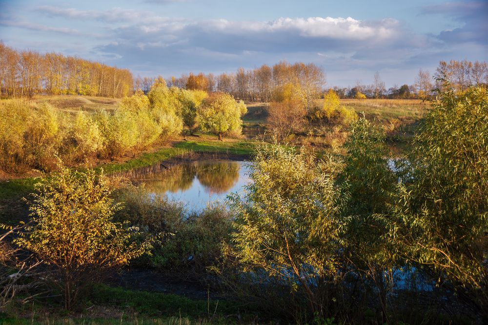 Фотография автора Валерий Лушин