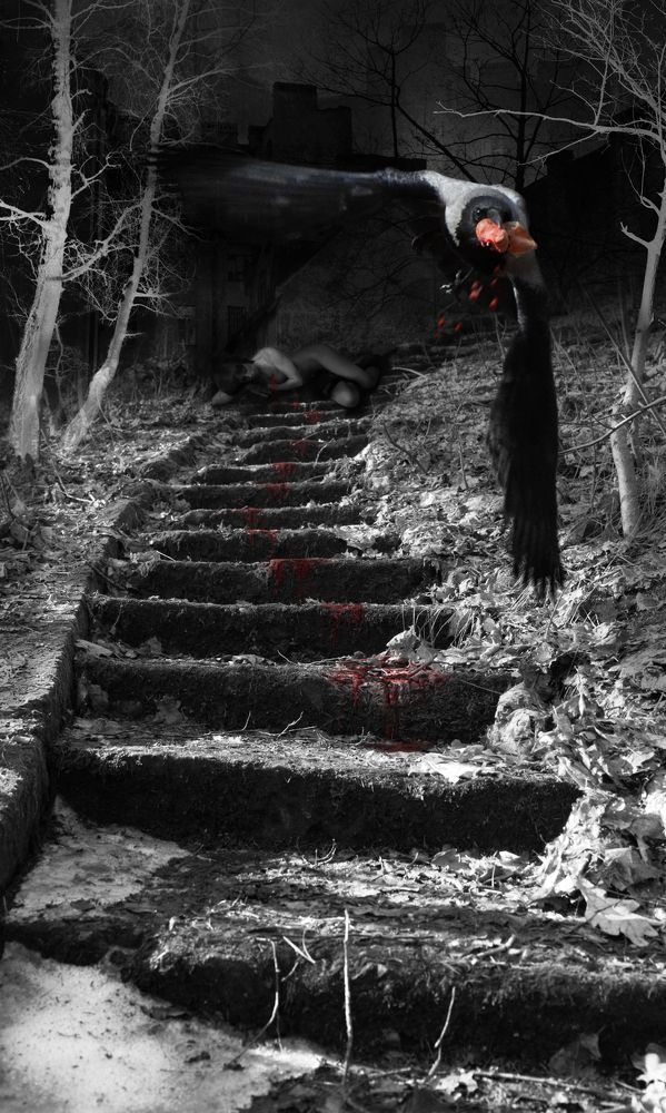 Photograph by Светлана Холодняк