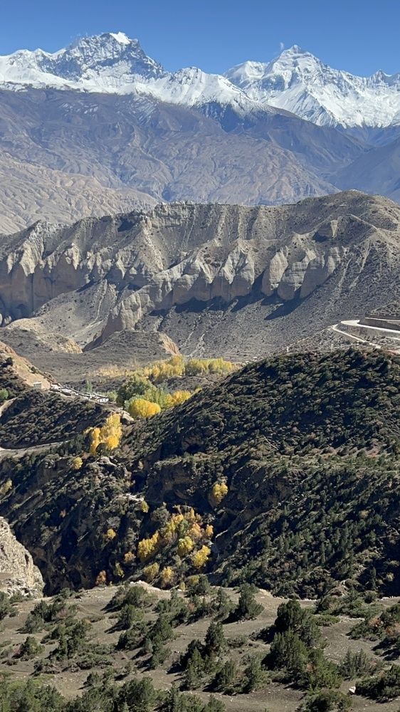 Photograph by Оксана Лабузова