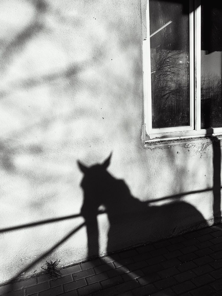 Photograph by Мария Петрова