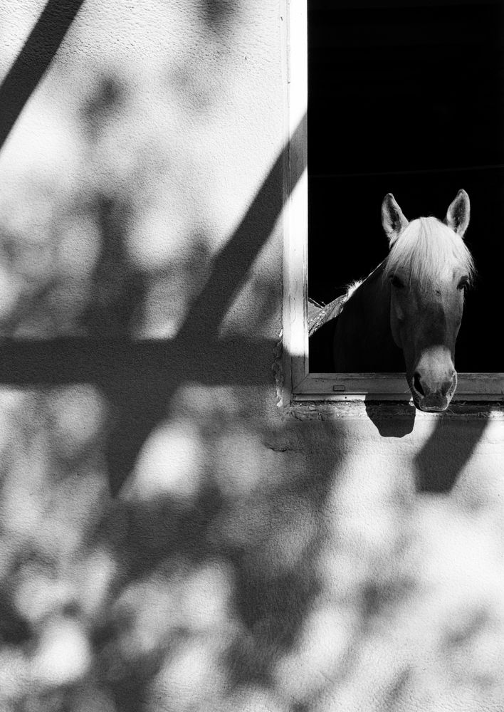 Photograph by Мария Петрова