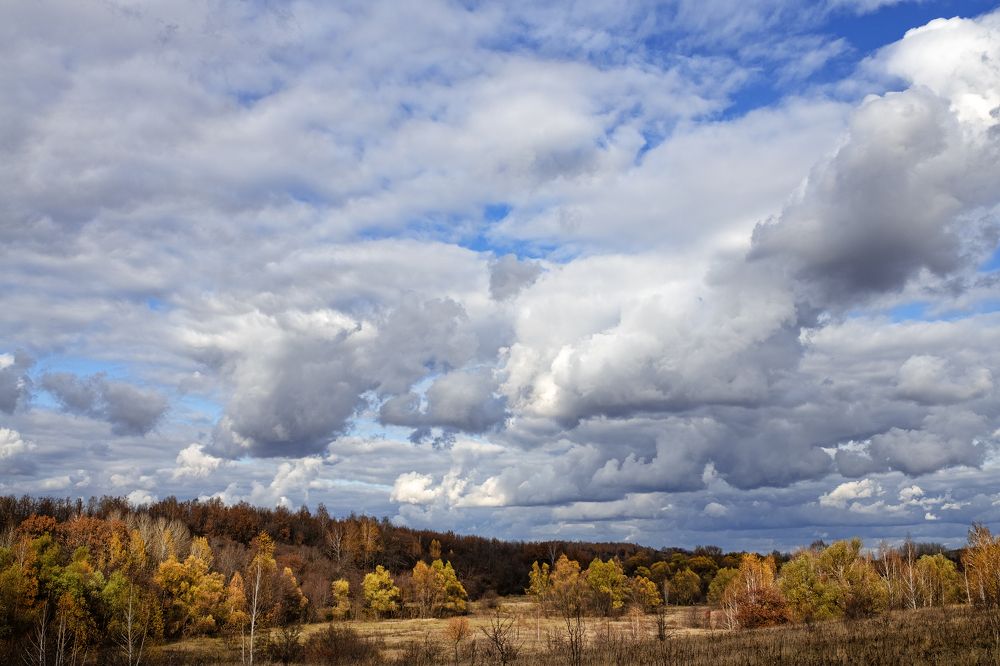 Что такое осень?