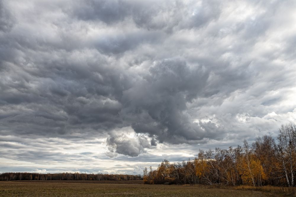 Photograph by Екатерина Караваева