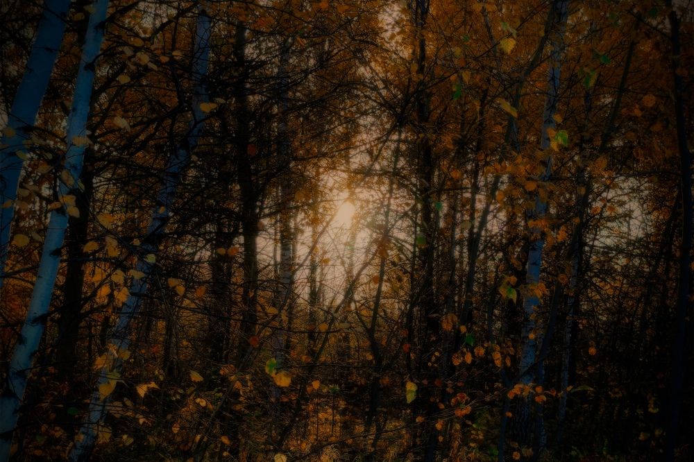 Photograph by Аскар