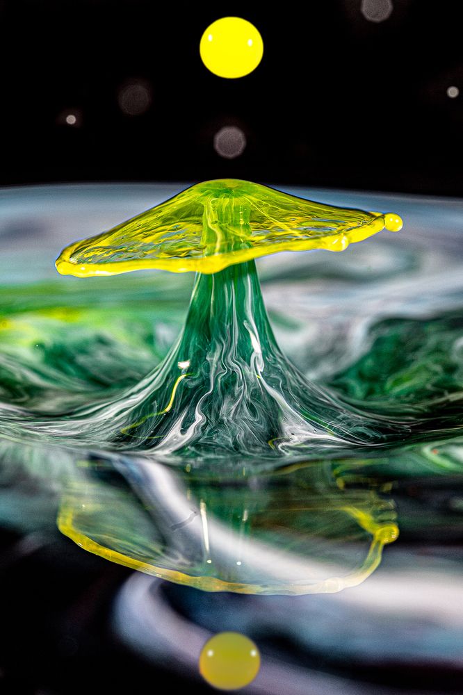 Photograph by Joao R Cortez