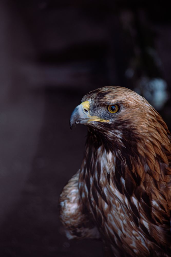 Photograph by Полина Смирнова